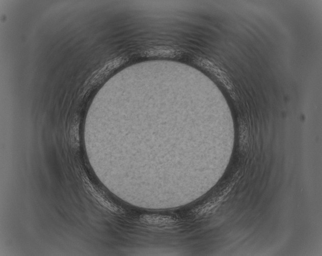 X0000087320633200705181012