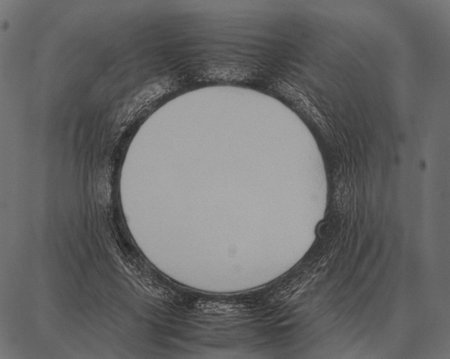 X0000087320635200705181012