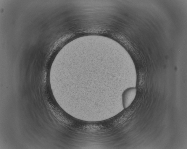 X0000087320636200705181012