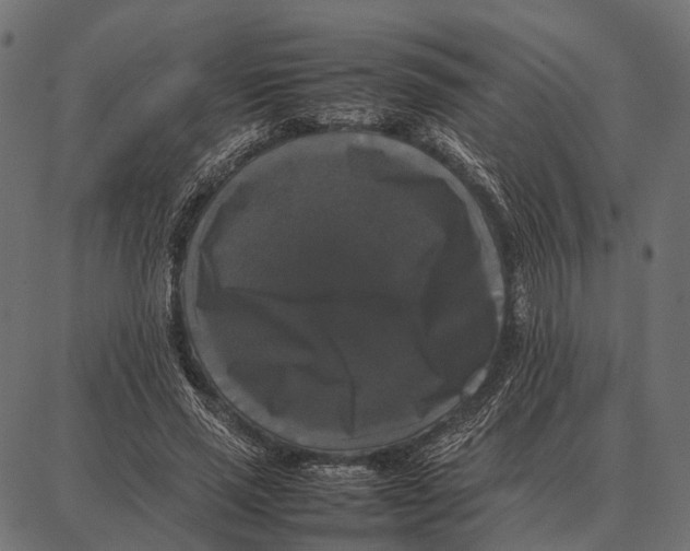 X0000087320637200705181012