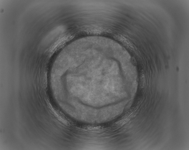 X0000087320638200705181012