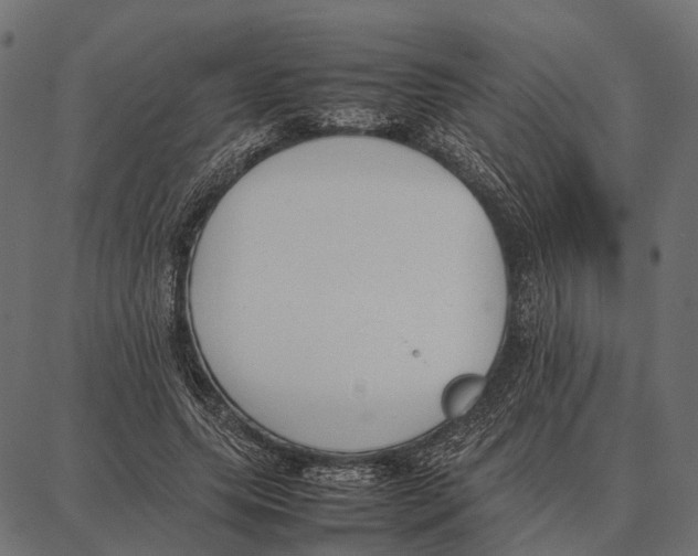 X0000087320639200705181012