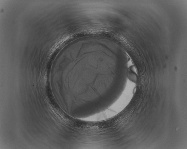 X0000087320640200705181012