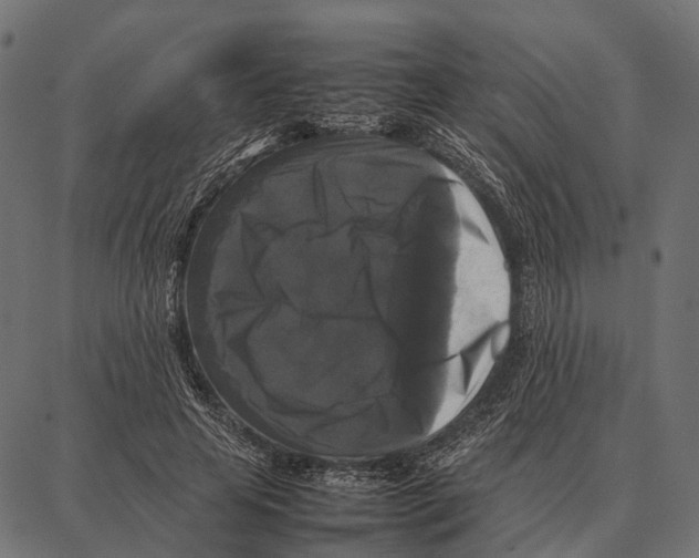 X0000087320641200705181012