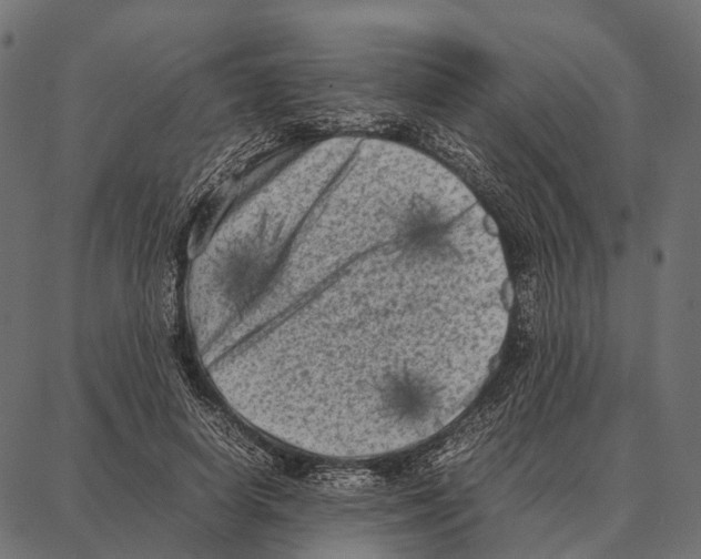 X0000087320642200705181012