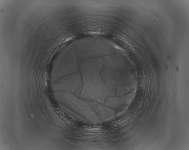 X0000087320643200705181012