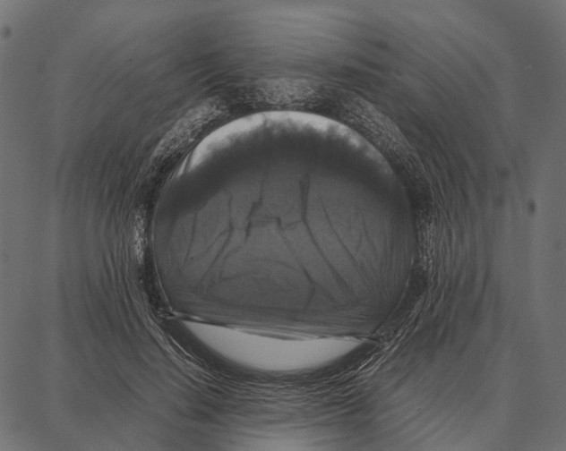 X0000087320644200705181012