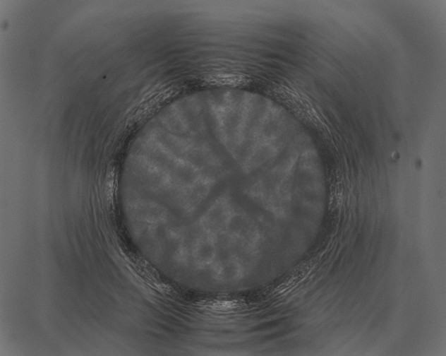 X0000087320647200705181012