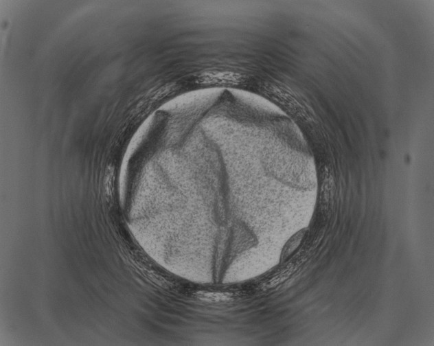 X0000087320649200705181012