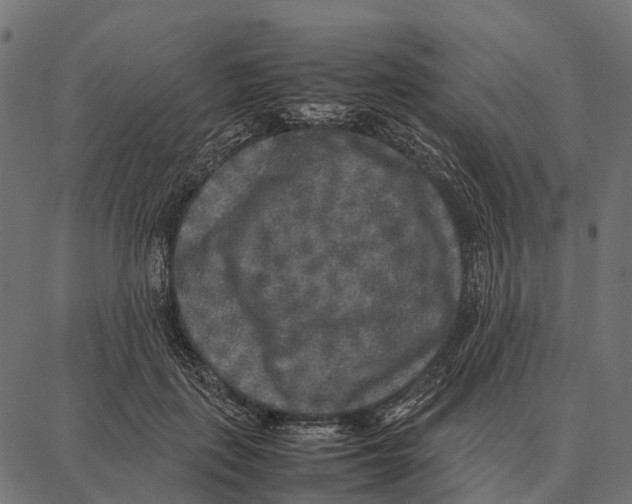 X0000087320651200705181012