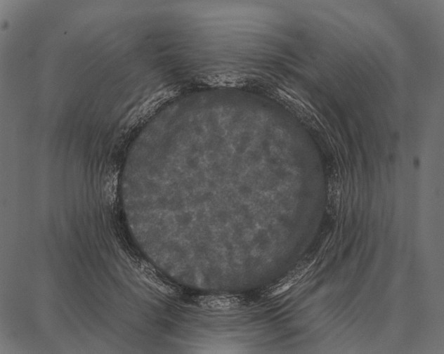 X0000087320652200705181012