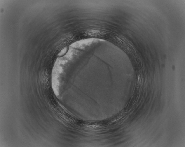 X0000087320653200705181012