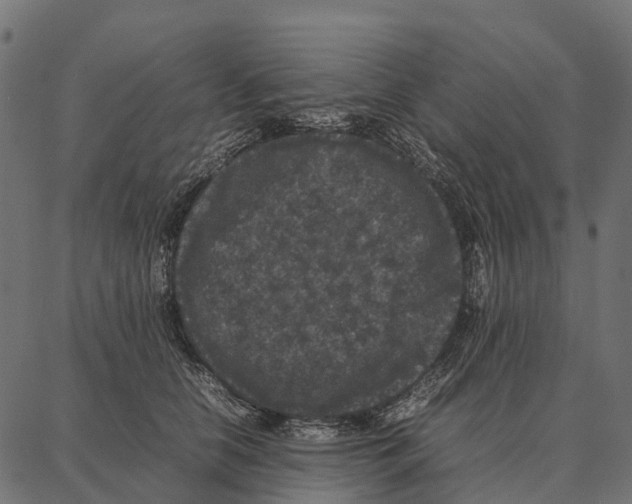 X0000087320658200705181012