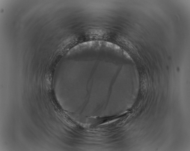 X0000087320661200705181012