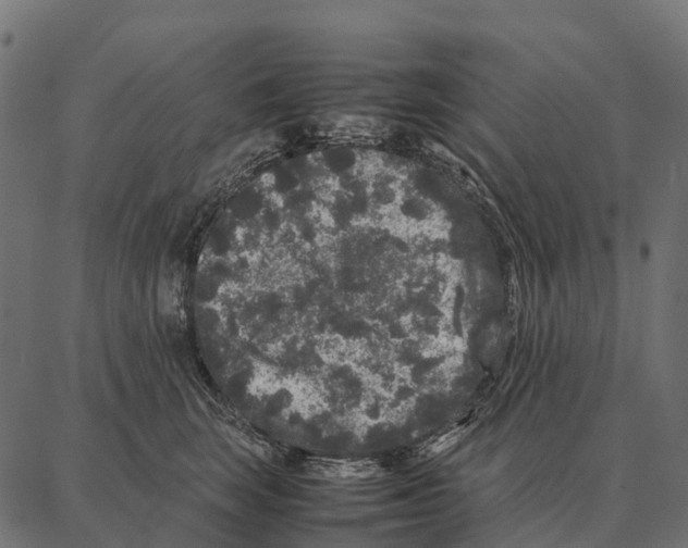 X0000087320663200705181012