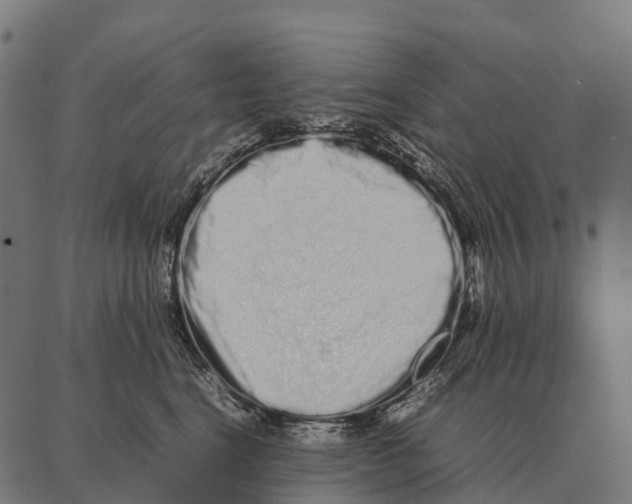 X0000087320664200705181012