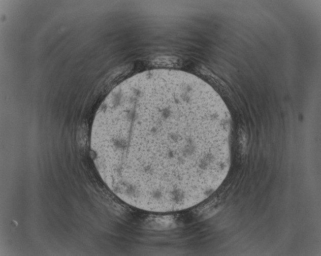 X0000087320665200705181012