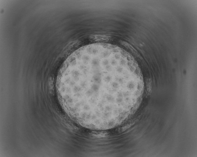 X0000087320667200705181012