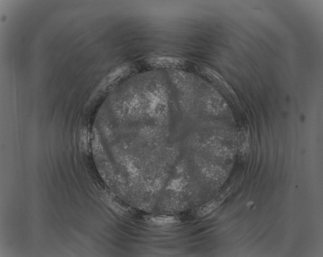 X0000087320669200705181012