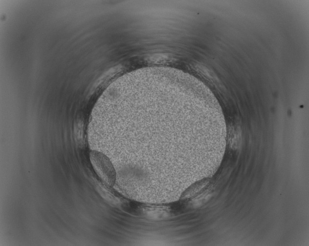 X0000087320670200705181012