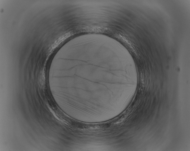 X0000087320674200705181012