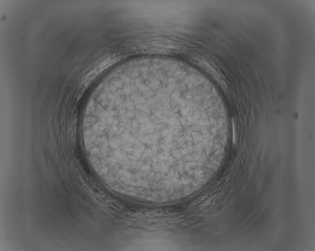 X0000087320675200705181012