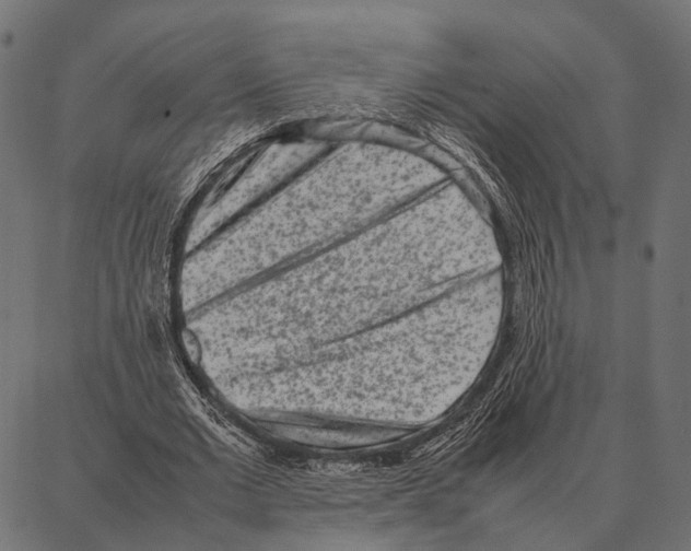 X0000087320677200705181012