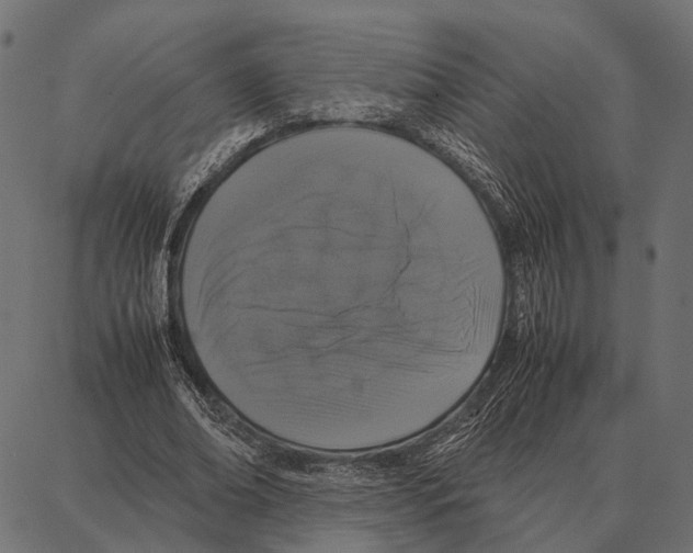 X0000087320678200705181012