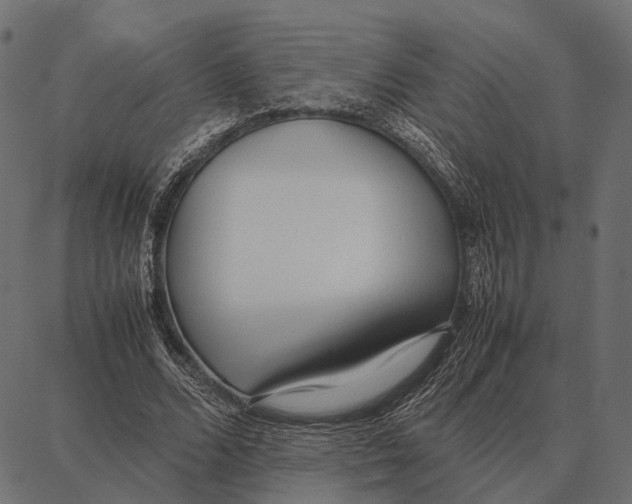 X0000087320680200705181012