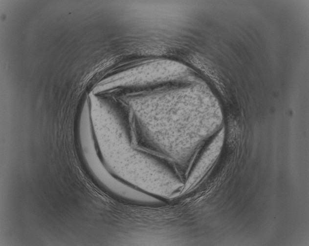 X0000087320681200705181011