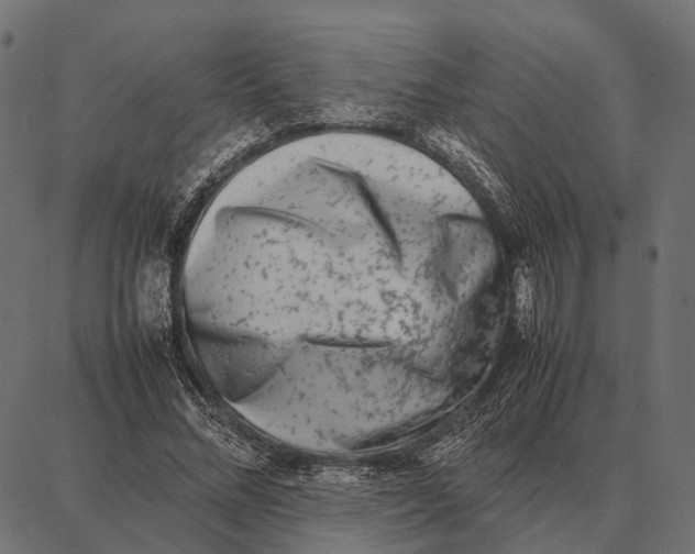 X0000087320684200705181011