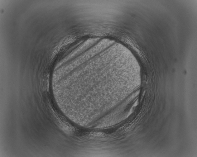 X0000087320685200705181011