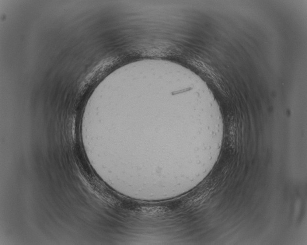 X0000087320686200705181011