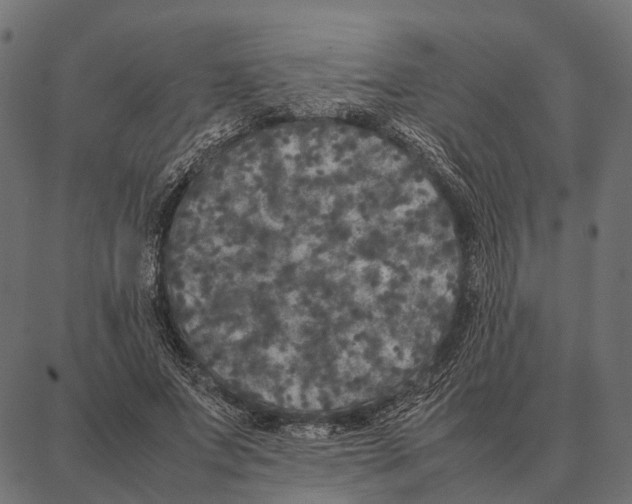 X0000087320687200705181011