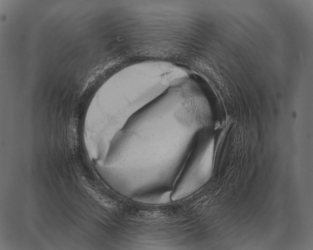 X0000087320688200705181011