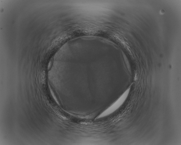 X0000087320689200705181011