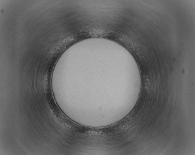 X0000087320690200705181011