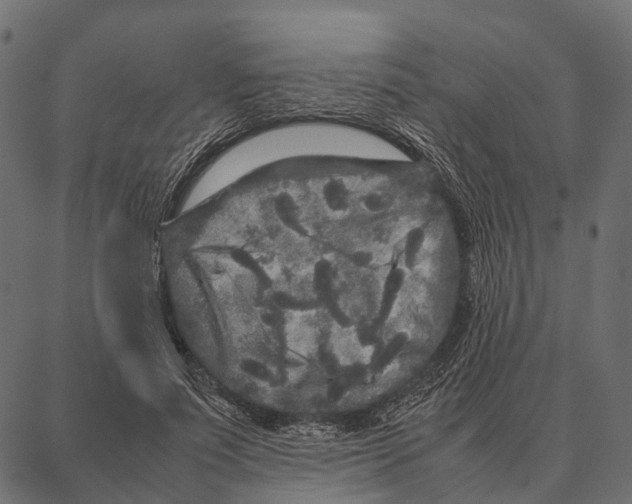 X0000087320691200705181011