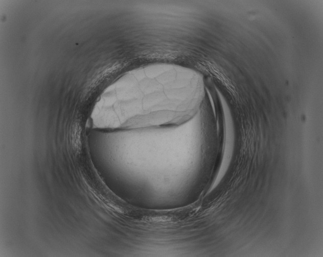 X0000087320692200705181011