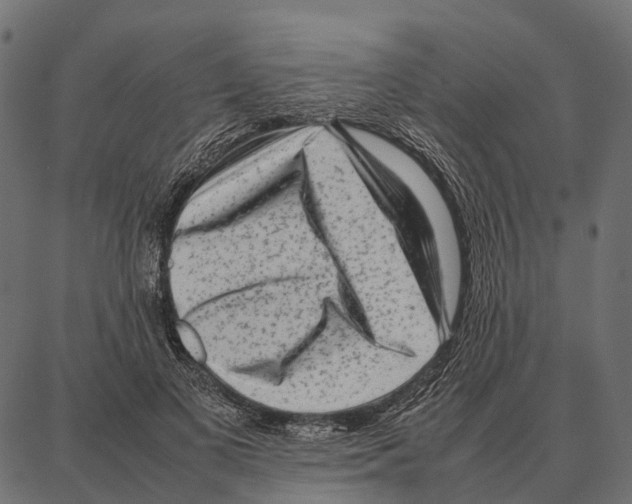 X0000087320693200705181011