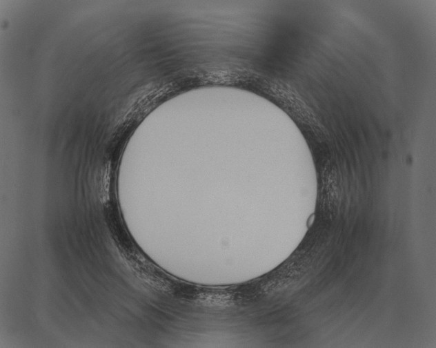 X0000087320694200705181011