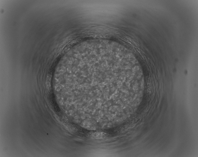 X0000087320695200705181011