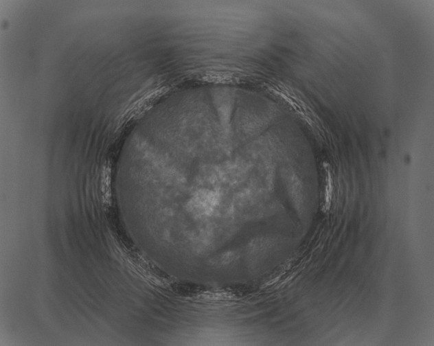 X0000087320696200705181011