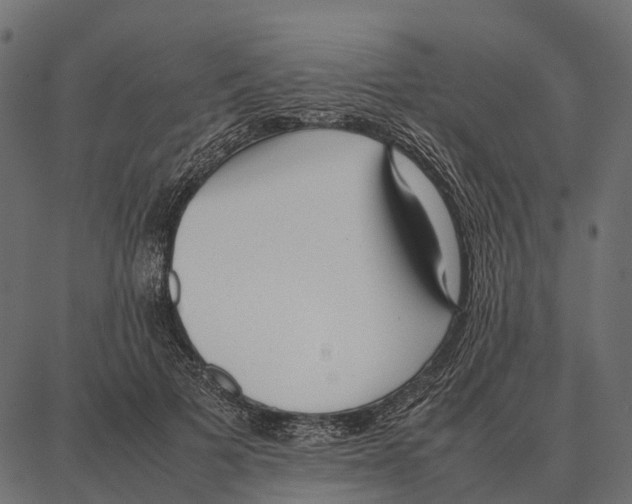 X0000087320697200705181011