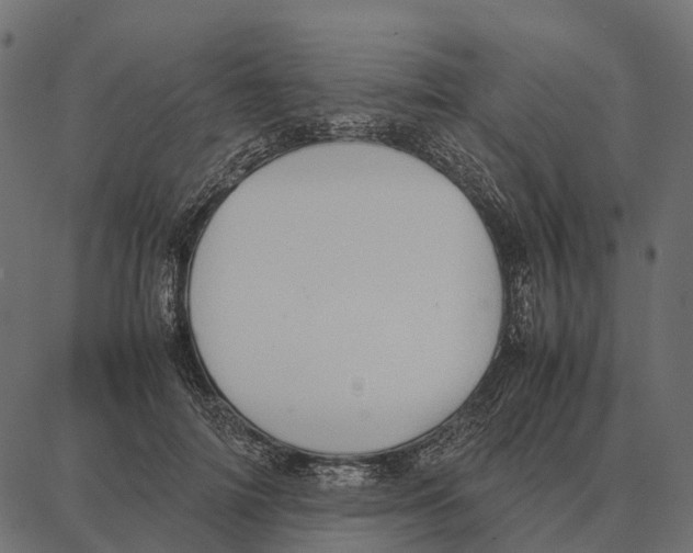 X0000087320698200705181011