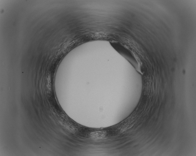 X0000087320700200705181011