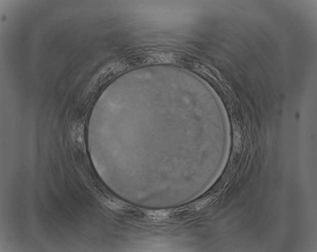 X0000087320701200705181011