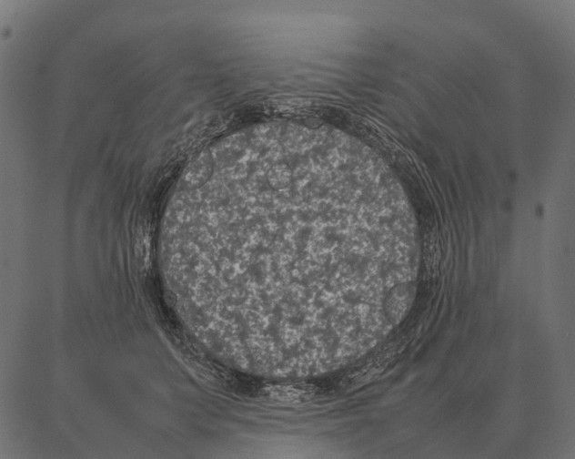 X0000087320703200705181011