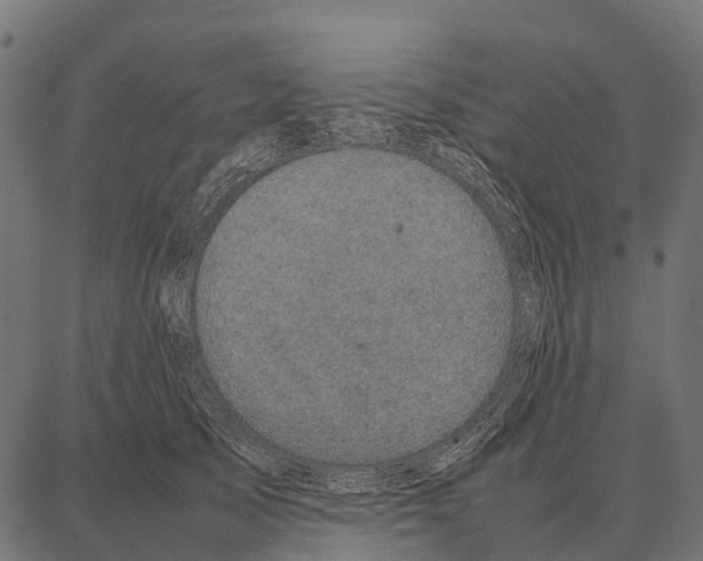 X0000087320705200705181011