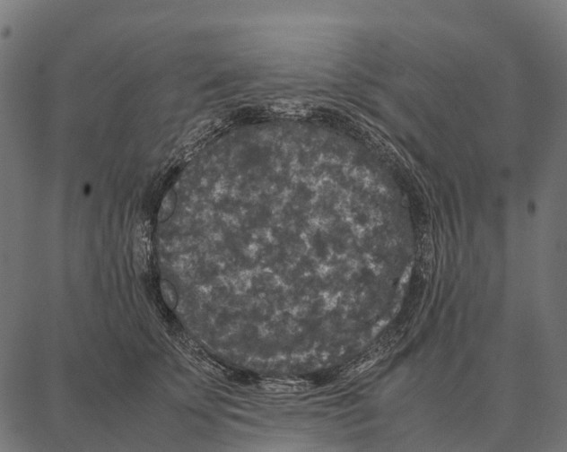 X0000087320707200705181011